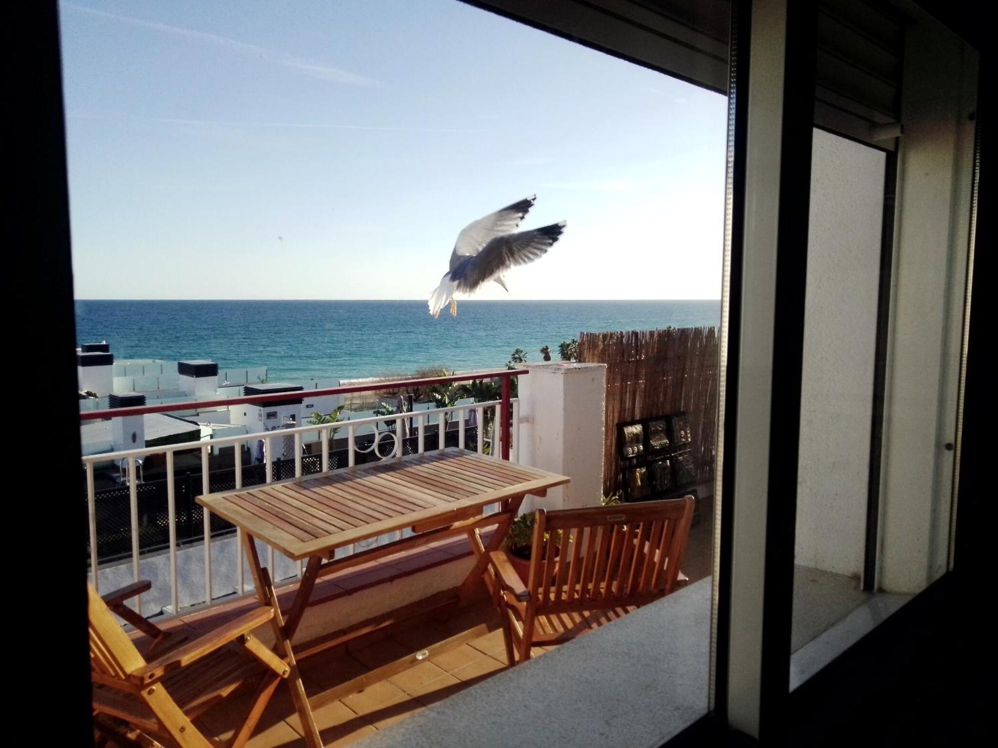 피네다데마르 Terraza Al Mar 아파트 외부 사진